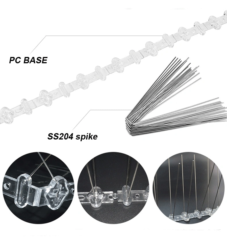 Plastic Bird and Pigeon Spikes Anti Bird Spikes Stainless Steel Pest Control