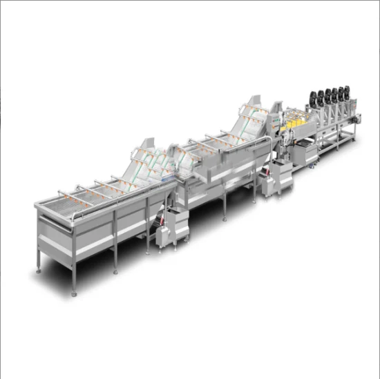 Automatic Fruit and Vegetable Cleaning Machineautomatic Conveying Cleaning Machine Cleaning Equipment